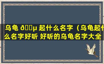 乌龟 🌵 起什么名字（乌龟起什么名字好听 好听的乌龟名字大全）